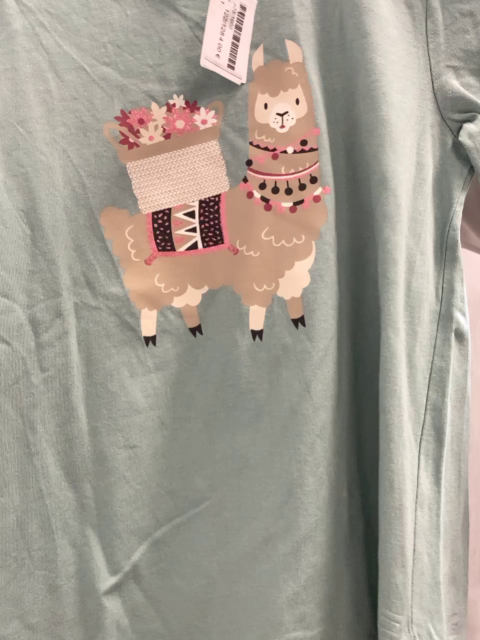   Langarmshirt Gr. 122/128  mint Lama mit Blumen und Glitzer 