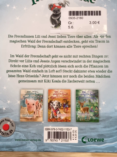   Buch Die magischen Tierfreunde Kiki Koala und die magische Schule 