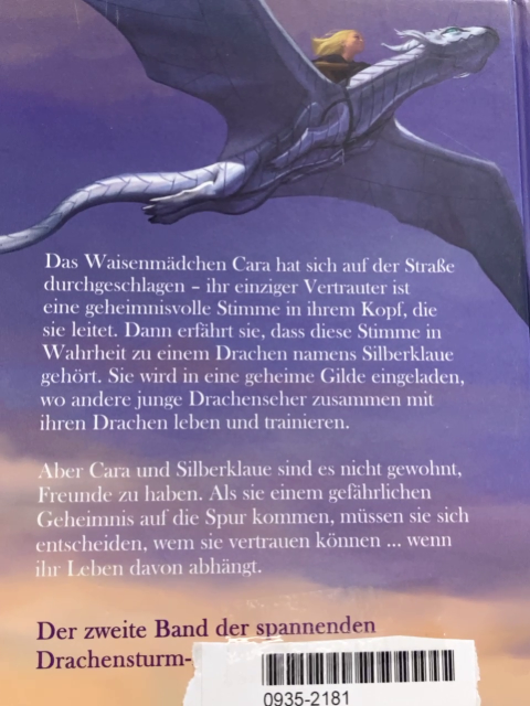   Buch Drachensturm Cara und Silberklaue 