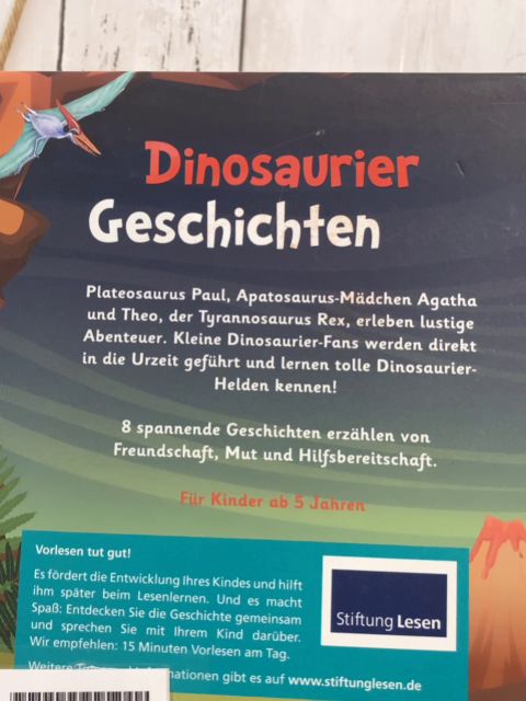   Buch Dinosaurier Geschichten 