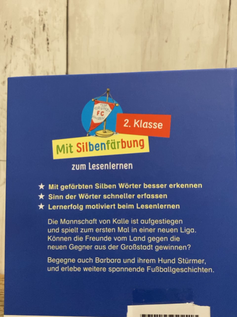 Leselöwen  Buch Fußballabenteuer 