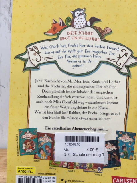Schule der magischen Tiere  Buch Wo ist Mr M?