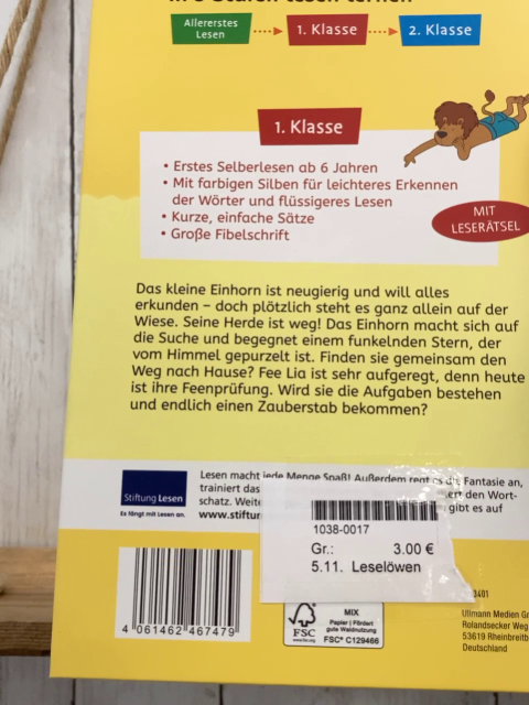 Leselöwen  Buch Einhorn- und Feengeschichten 