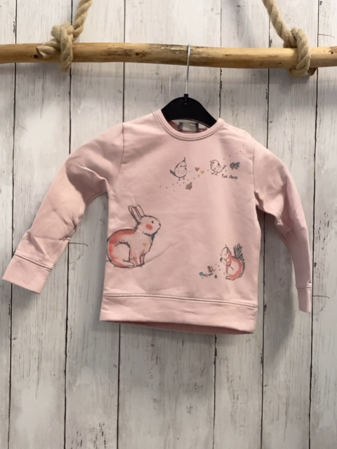 Eat Ants  Pullover  Gr. 86  rosa Eichhörnchen Vögel