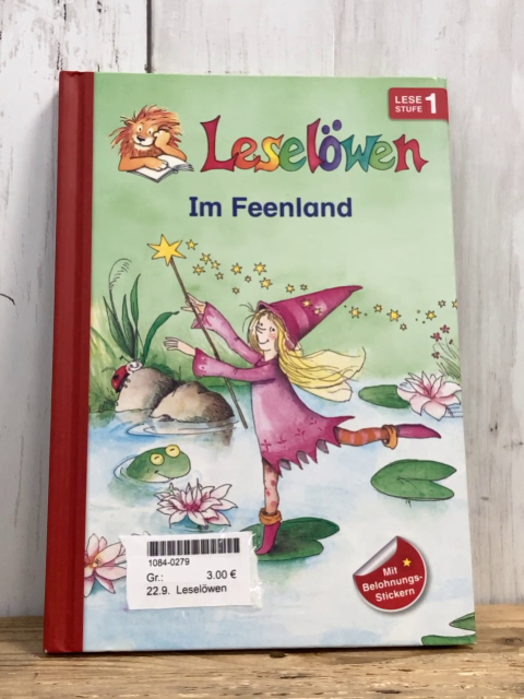 Leselöwen  Buch Im Feenland 