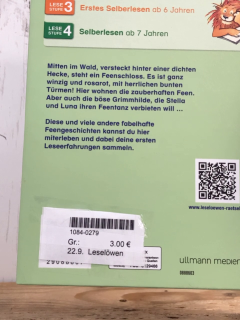 Leselöwen  Buch Im Feenland 