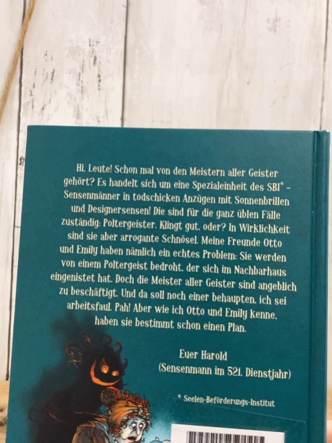  Buch Scary Harry Meister aller Geister 