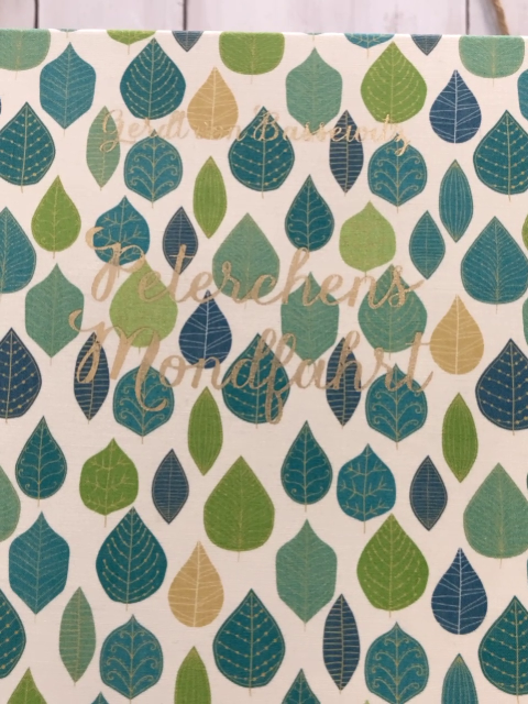  Buch Peterchens Mondfahrt