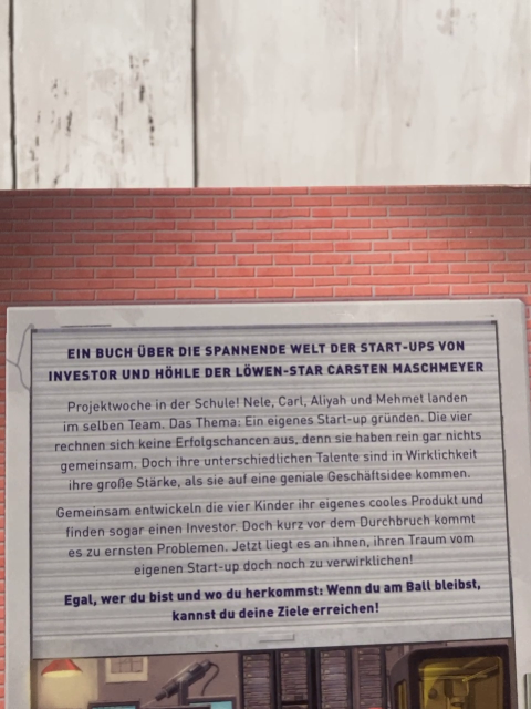   Buch Die Start-up Gang 