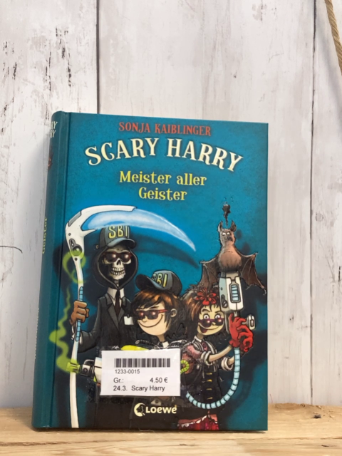 Scary Harry  Buch Meister aller Geister 