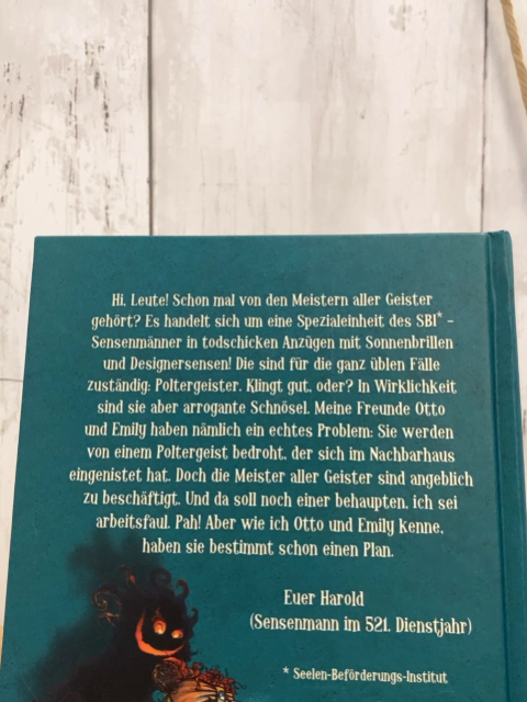 Scary Harry  Buch Meister aller Geister 