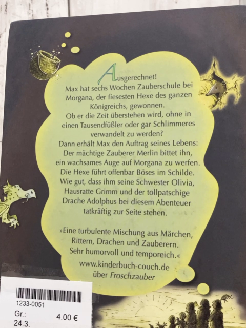  Buch Drachenzauber 