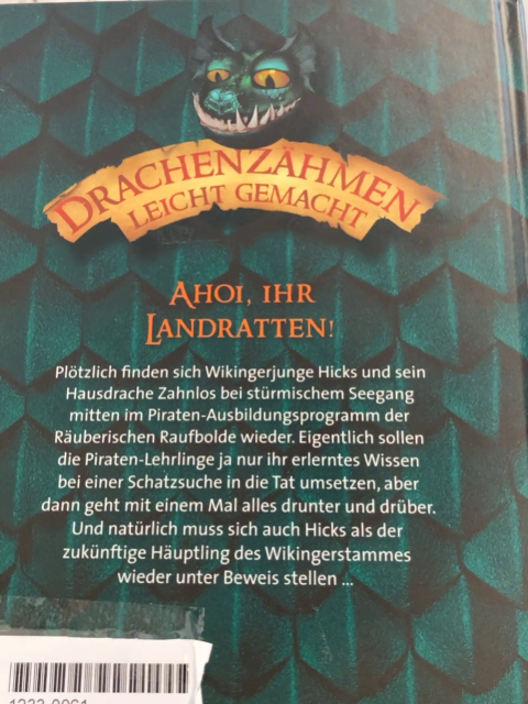 Drachenzähmen leicht gemacht Buch Wilde Piraten voraus 
