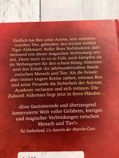 Animas Academy  Buch Der heimliche König von Aldemar 