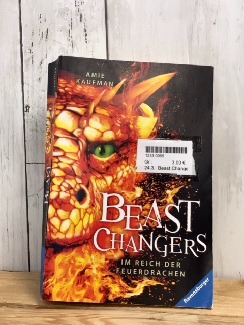 Beast Changers  Taschenbuch Im Reich derr Feuerdrachen 