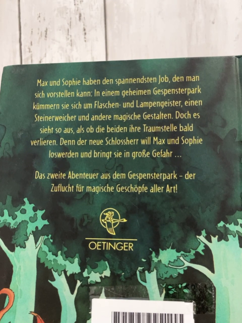 Gespensterpark  Buch Der geheime Rat der Zwölf 