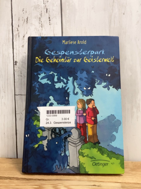 Gespensterpark  Buch Die Geheimtür zur Geisterwelt 