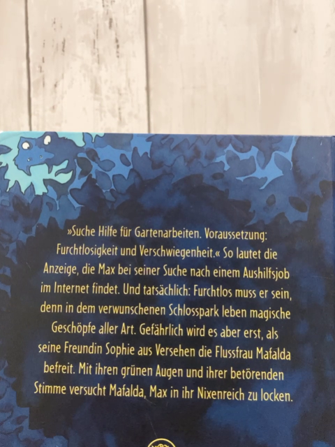 Gespensterpark  Buch Die Geheimtür zur Geisterwelt 