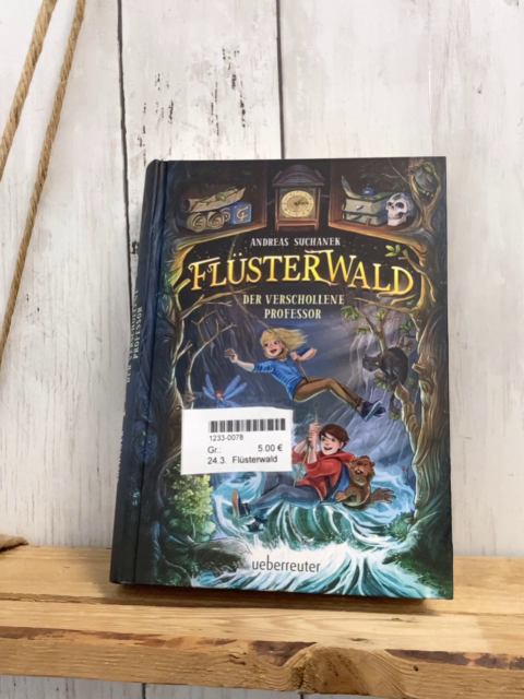 Flüsterwald  Buch Der verschollene Professor 