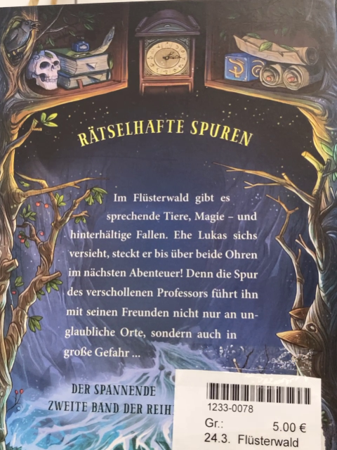 Flüsterwald  Buch Der verschollene Professor 
