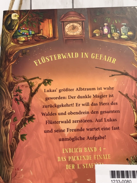 Flüsterwald  Buch Der Schattenmeister erwacht 