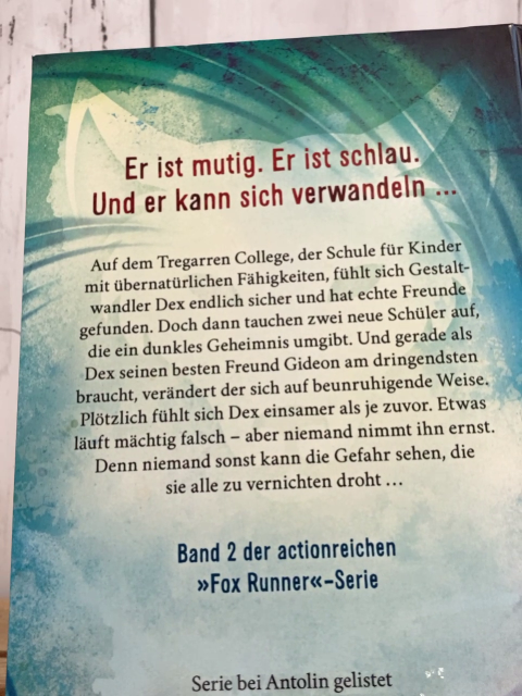 Fox Runner  Buch Der Ruf des Falken 