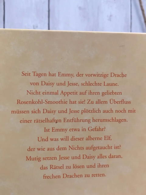 Der frechste Drache der Welt  Buch Elfen darf man nicht erschrecken 