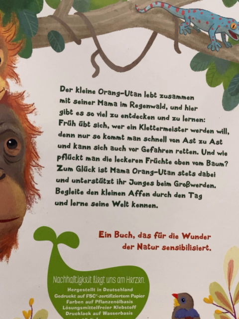  Buch Der kleine Orang-Utan Zu Hause im Regenwald 