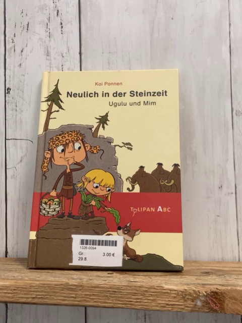   Buch Neulich in der Steinzeit 