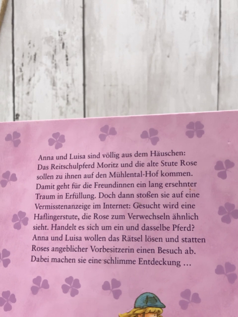   Buch Anna gibt nicht auf 