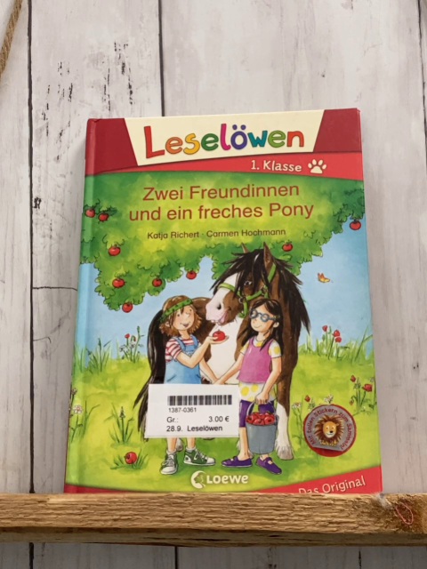 Leselöwen  Buch Zwei Freundinnen und ein freches Pony 