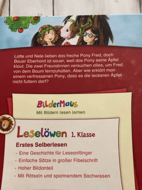 Leselöwen  Buch Zwei Freundinnen und ein freches Pony 