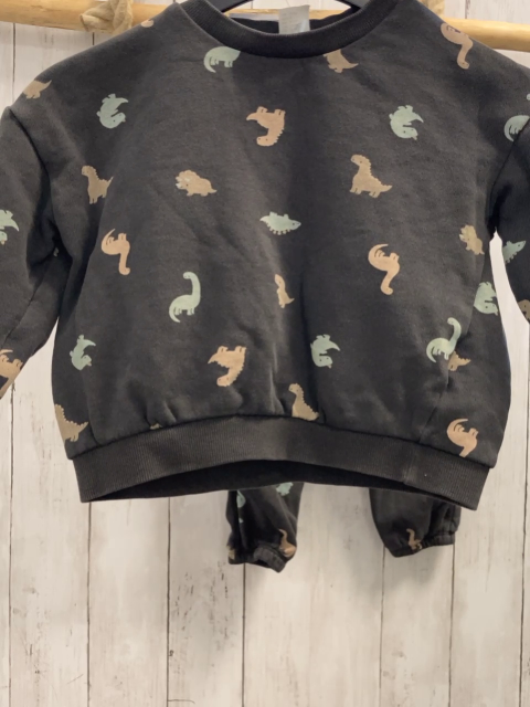 2tlg H&M  Pullover + Jogginghose  Gr. 98  grau bunte Dinos 