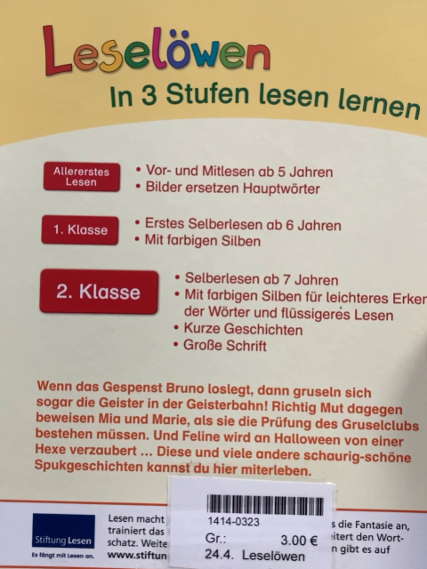 Leselöwen  Buch Gruselgeschichten 