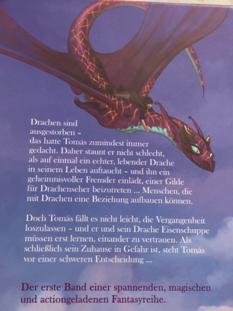Drachensturm  Buch Tom und Eisenschuppe 
