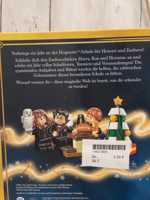  Buch Harry Potter Ein magisches Jahr in Hogwarts 