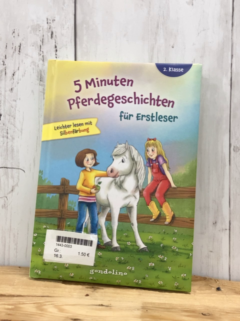  Buch 5 Minuten Pferdegeschichten für Erstleser 