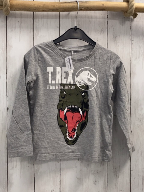 Name it  Langarmshirt  Gr. 104  hellgrau Dinokopf Schrift 