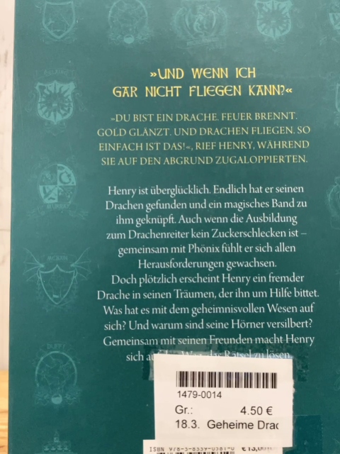 Geheime Drachenschule  Buch Der Drache mit den silbernen Hörnern 