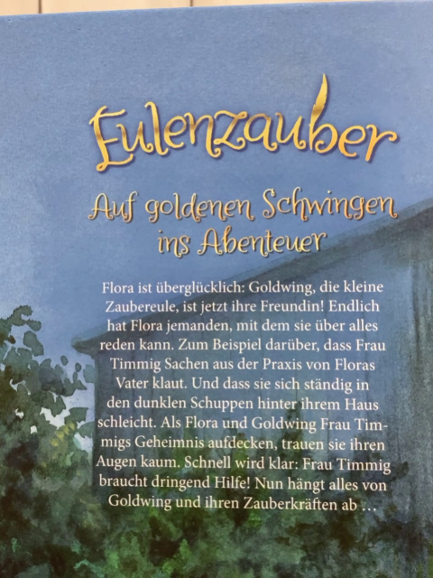  Buch Eulenzauber Rettung für Silberpfote 