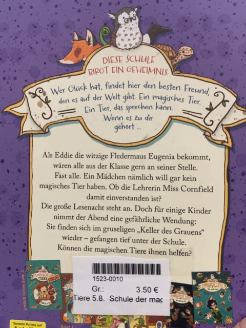 Schule der magischen Tiere  Buch Licht aus 