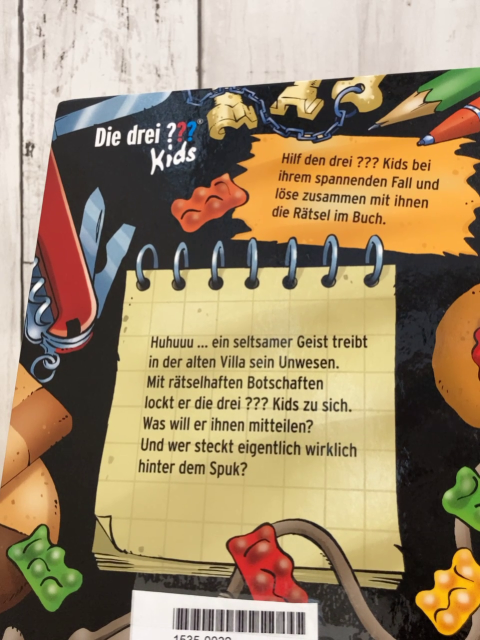 die drei ??? Kids Buch Die Geistervilla