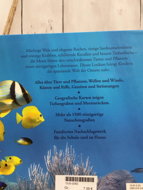  Buch Ozeane für clevere Kids