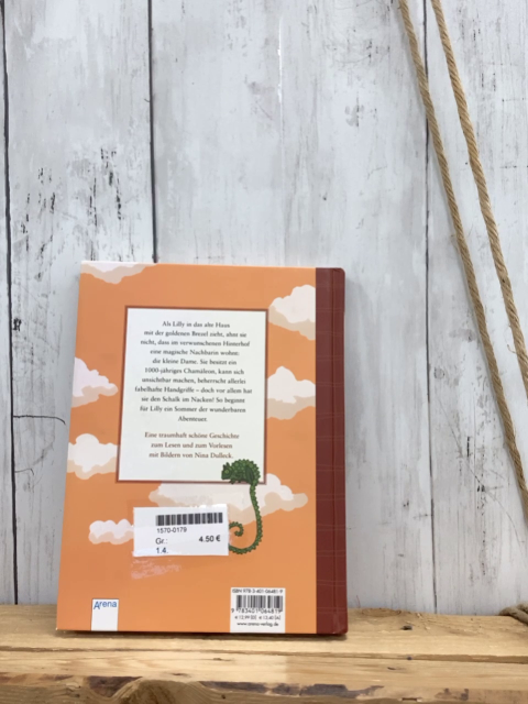   Buch Die kleine Dame