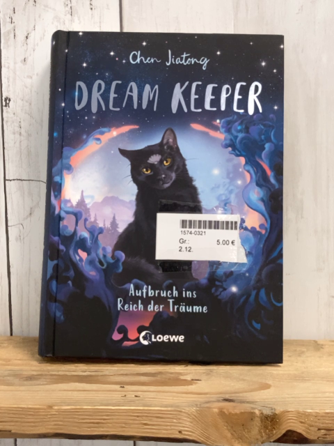   Buch Dream Keeper Aufbruch ins Reich der Träume 