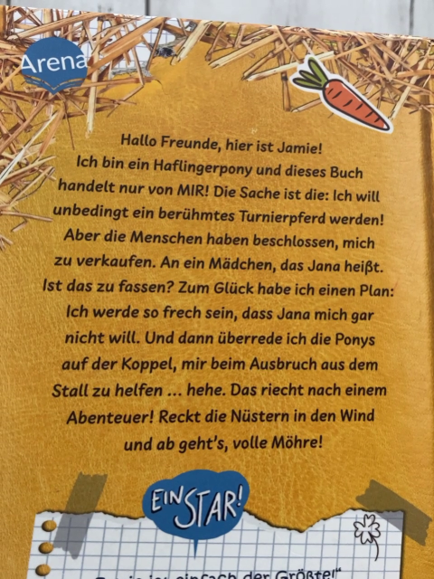  Buch Jana Hoch & Pony Jamie 