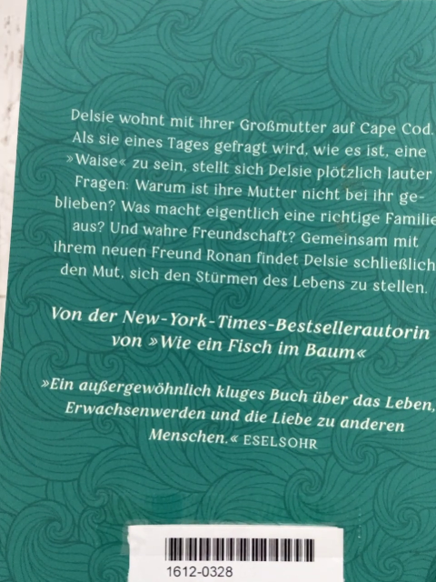  Taschenbuch Wie man den Wind aufhält 