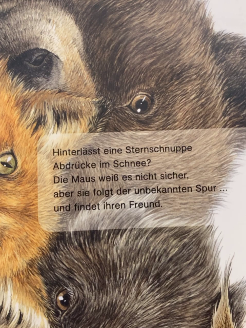  Buch Eine Sternschnuppe im Schnee
