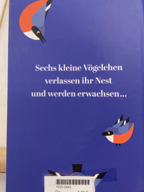   Pappbuch Sechs kleine Vögelchen 