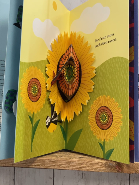   Pappbuch Sechs kleine Vögelchen 